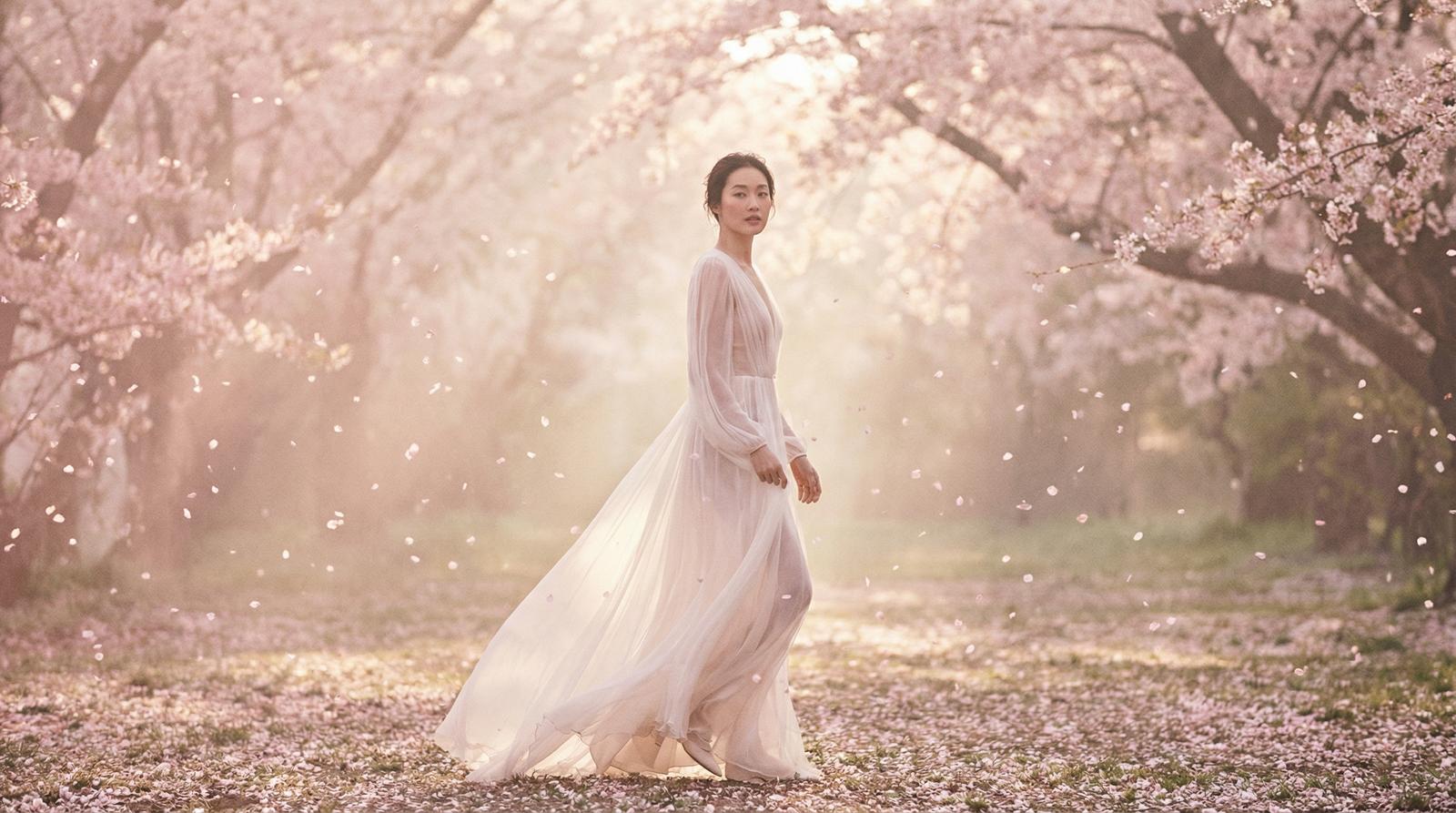 蜜桃樱花季唯美视频